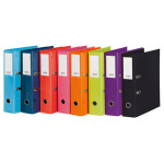 Pasta de Arquivo Ambar de Lombada Larga 10 Unidades (IVA e Portes Incluídos)